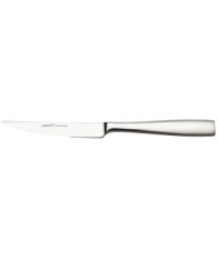 Stainless Steel Steak Knife